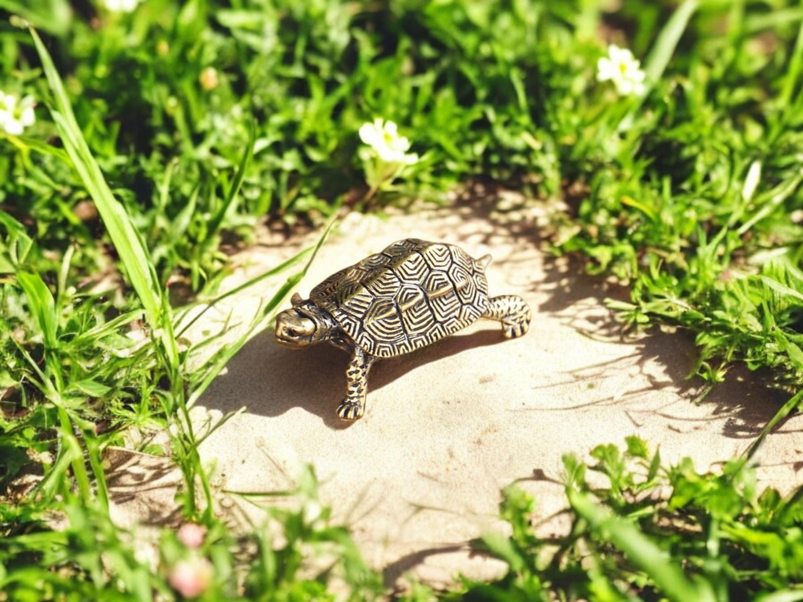 Antique Brass Turtle Figurine, Vintage Miniature Tortoise Statue, Lucky Feng Shui Office Decor