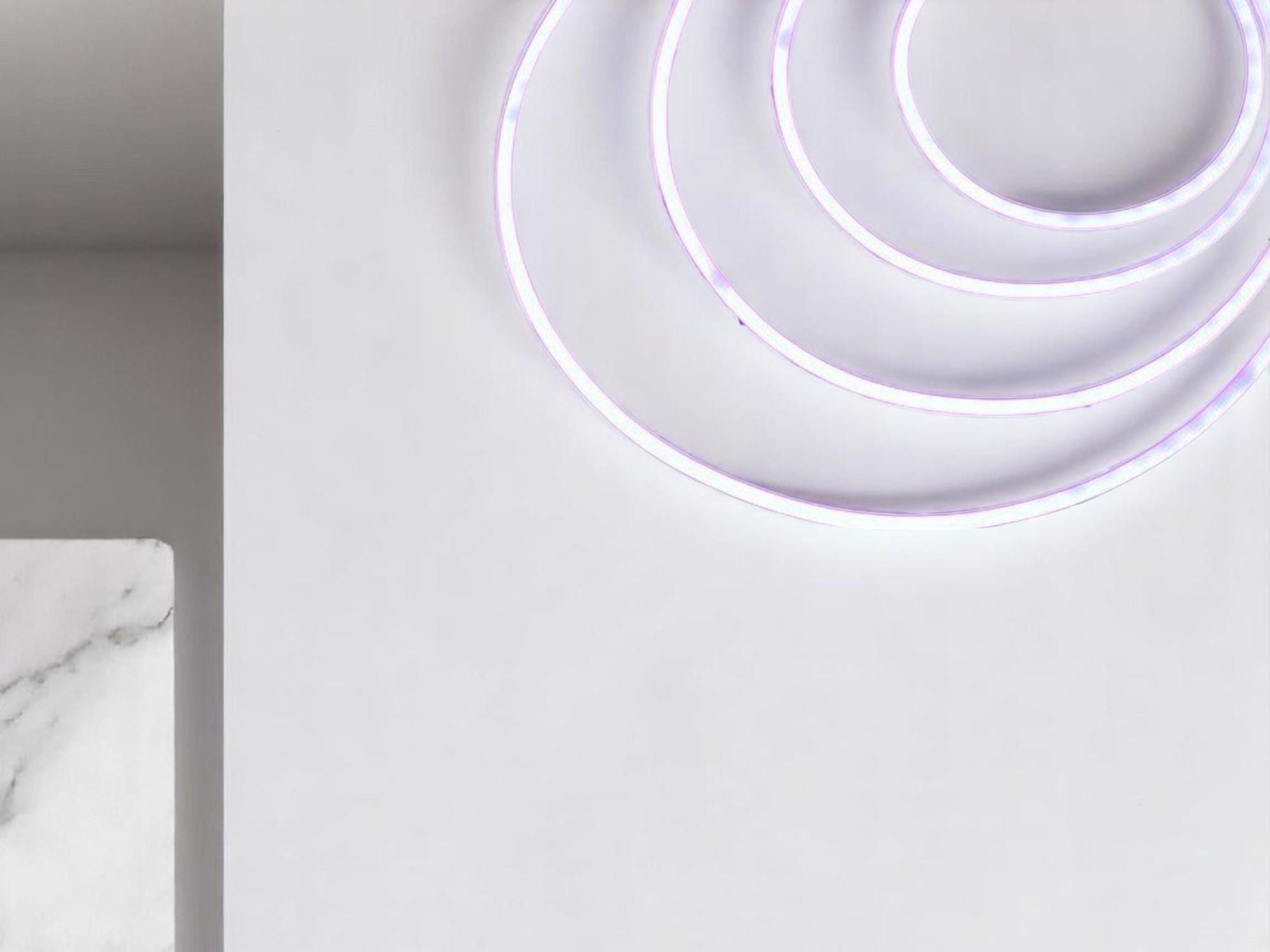 RGB Neon Strip Light, Color Changing LED Wall Decor, Home Decor