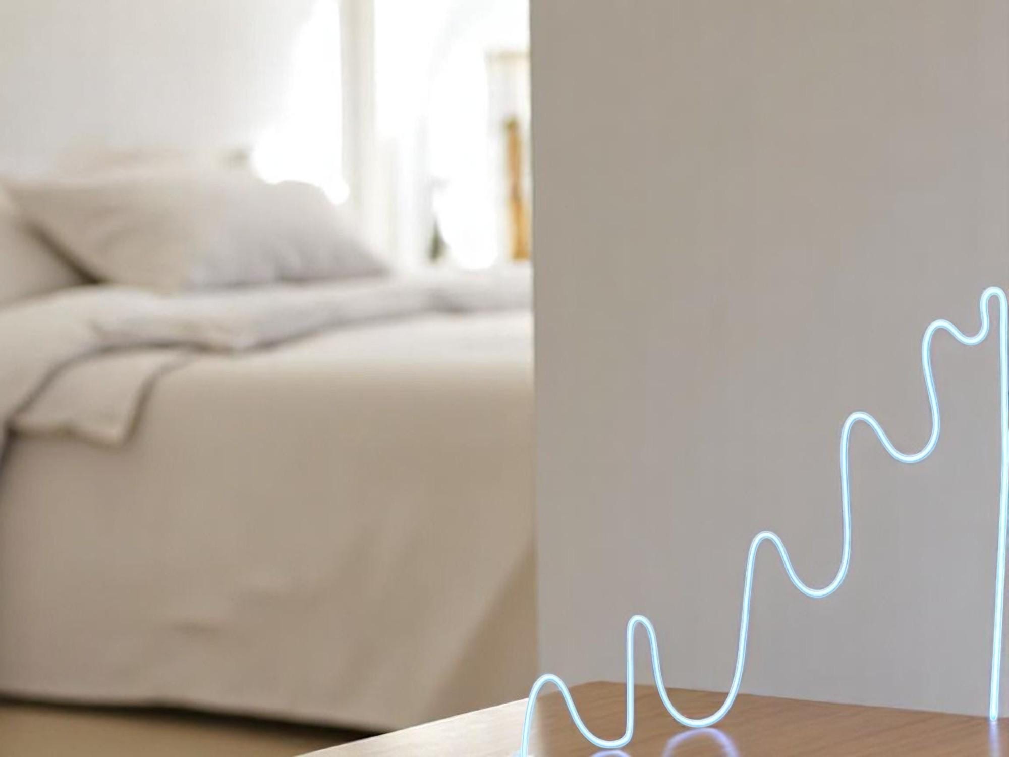 RGB Neon Strip Light, Color Changing LED Wall Decor, Home Decor