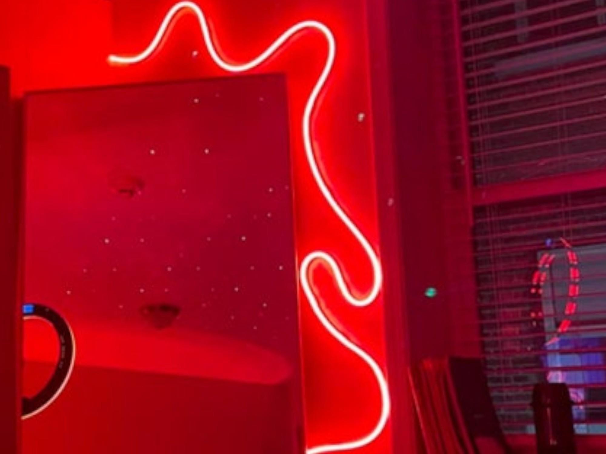 RGB Neon Strip Light, Color Changing LED Wall Decor, Home Decor