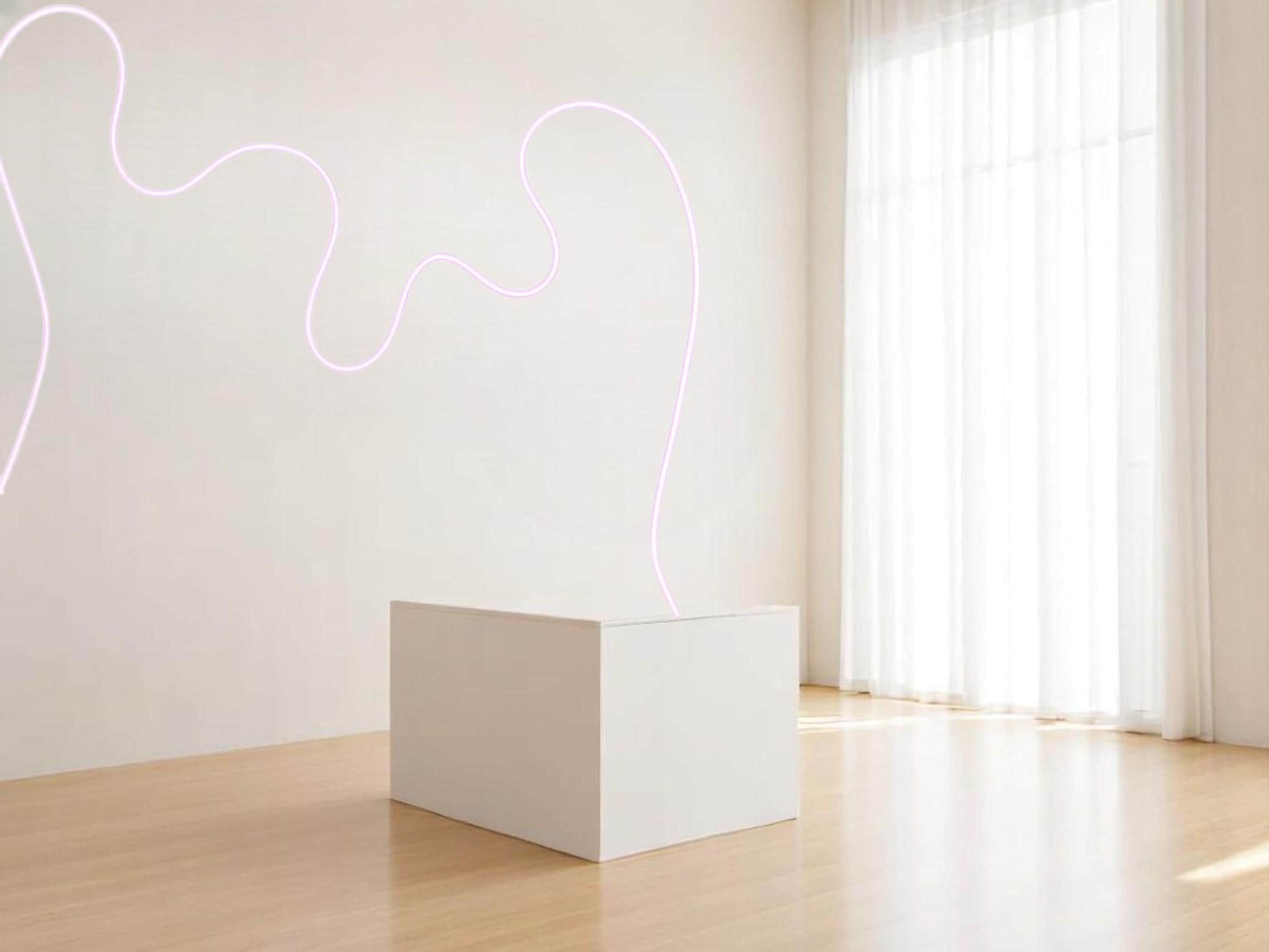 RGB Neon Strip Light, Color Changing LED Wall Decor, Home Decor